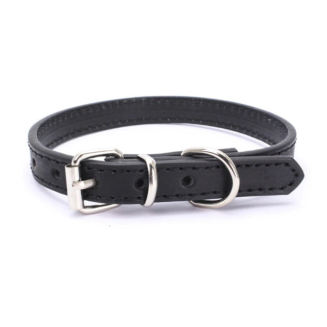 Pet Supplies Dog Collar Alloy Buckle Dog Chain Cat Necklace Size Adjustable for Small and Medium-sized Dog Collars Dog Supplies