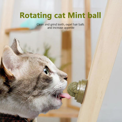 Catnip Cat Wall Stick-on Ball Natural Mint Promote Digestion Cat Grass Pet Toy Improve Appetite Spinning Toy Ball