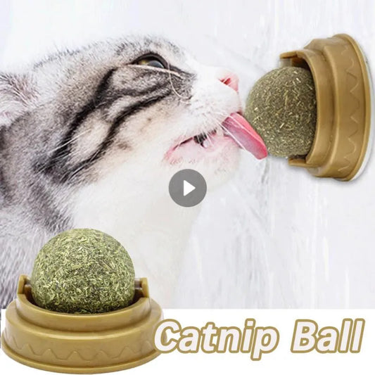 Catnip Cat Wall Stick-on Ball Natural Mint Promote Digestion Cat Grass Pet Toy Improve Appetite Spinning Toy Ball