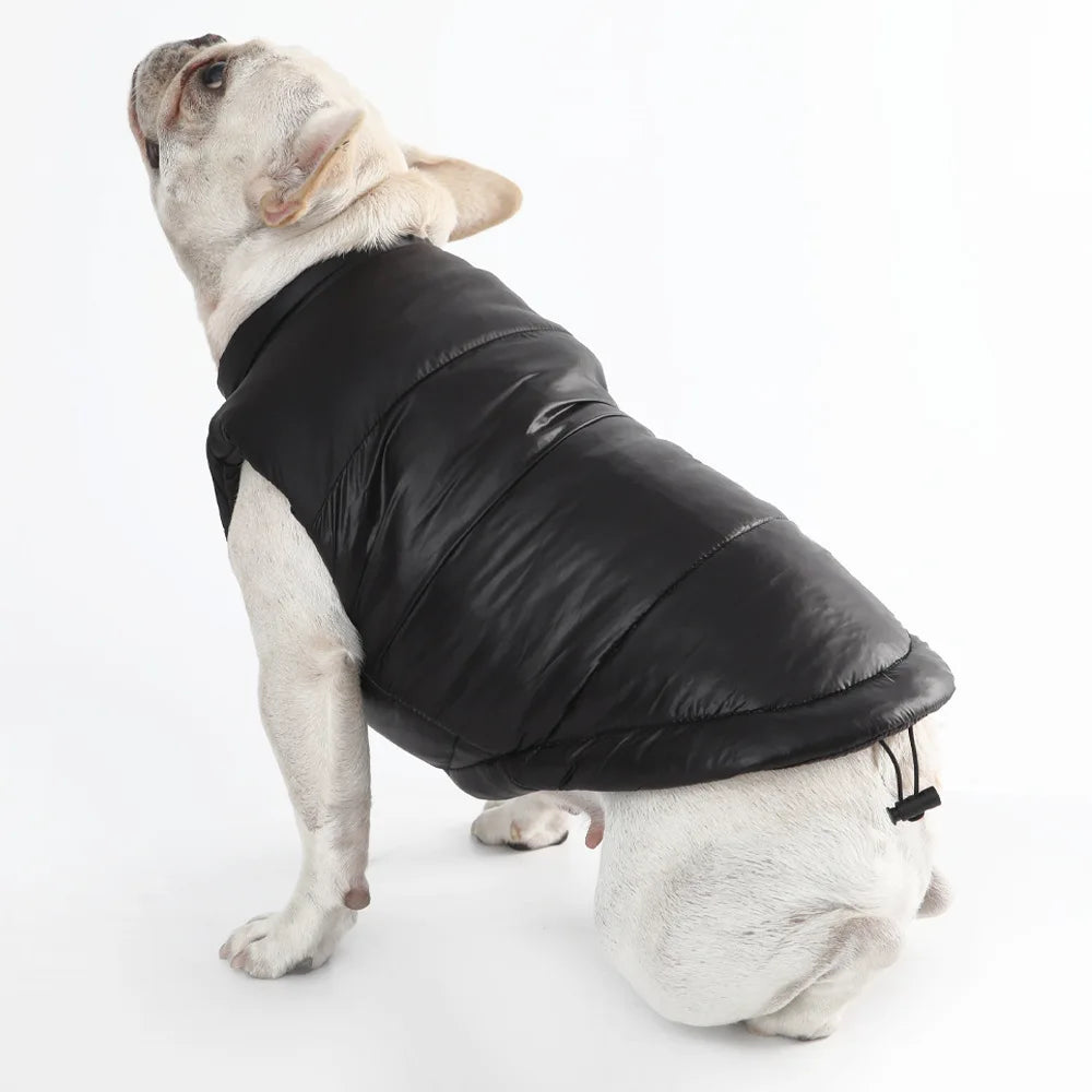 Dog Face Winter Clothes for Dogs Jacket Puppy Puffer Pug Apparels Jackets Costume Large Coat Vest Supplies Pet Home