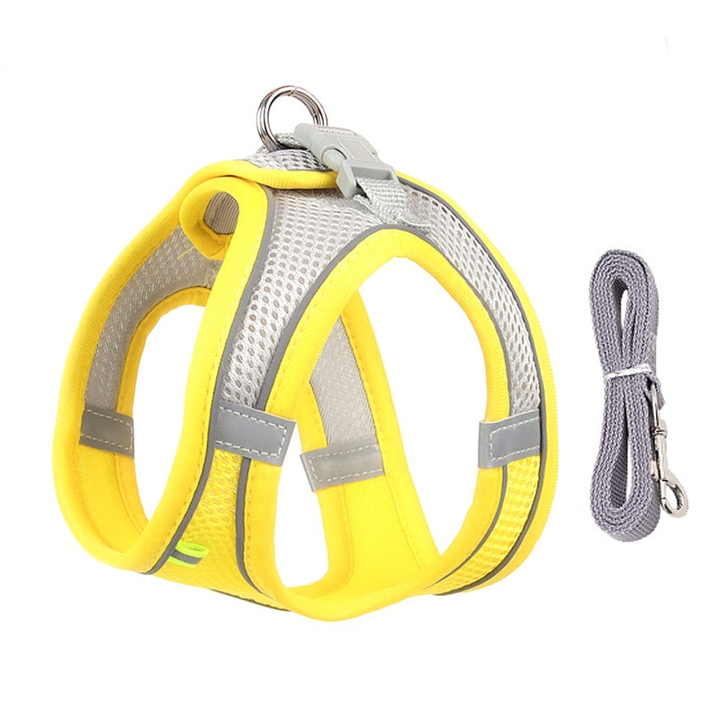 Dog Harness Leash Set for Small Dogs Adjustable Puppy