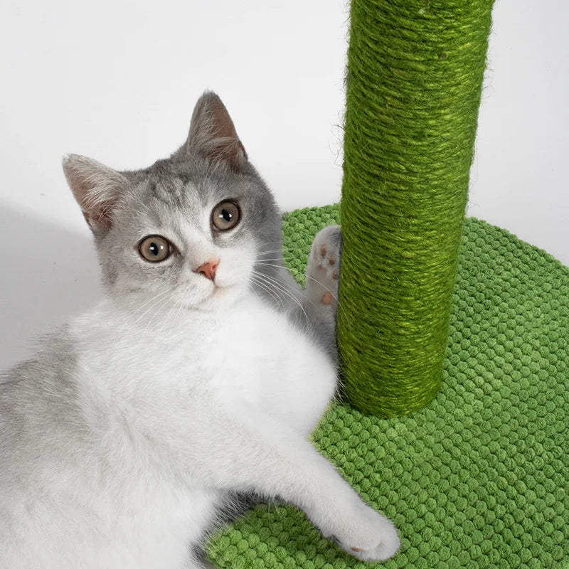 Cactus Cat Scratching Posts with Sisal Rope Cat Scratcher Cactus for Young and Adult Cats Cat climbing Frame Toy