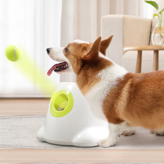 Dog Pet Toys Tennis Launcher Automatic Throwing Machine Pet Ball Throw Device 3/6/9m Section Emission with 3 Balls Dog Training