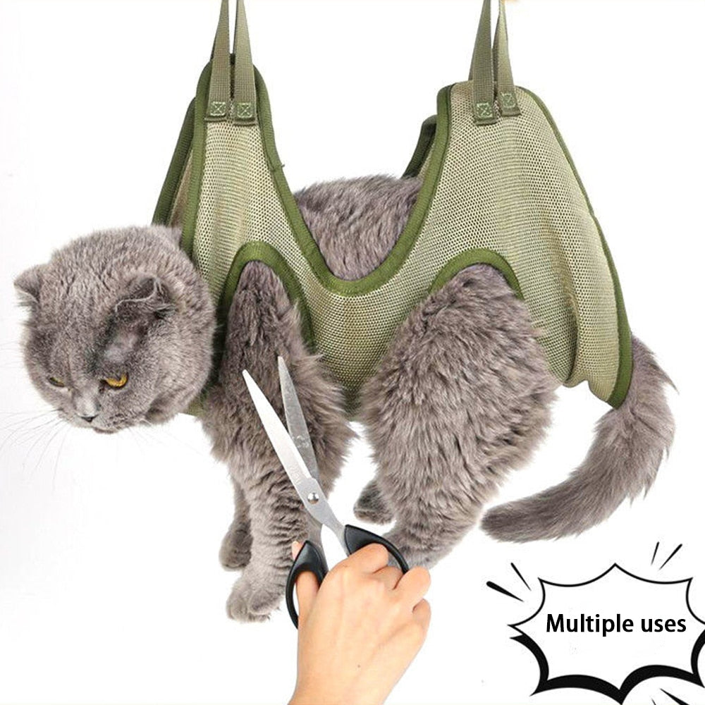 Let your Cat Hang Around While You Groom Them...MEOW