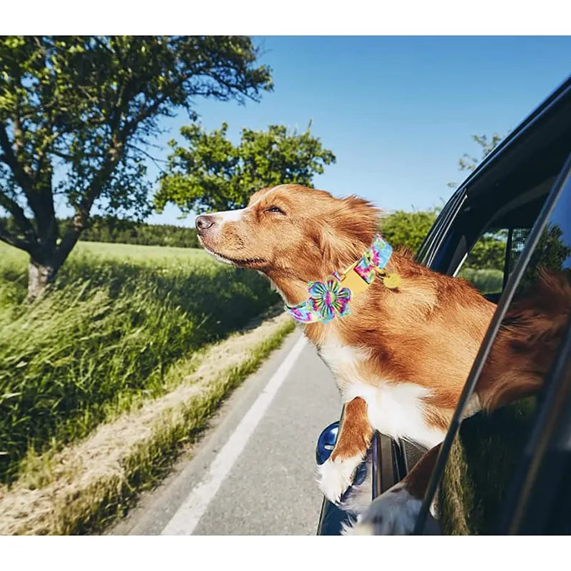 Unique Style Paws Personalized Cotton Dog Collar with Bow Tie Flower Colorful Tie Dye Pet Dog Collar for Large Medium Small Dog