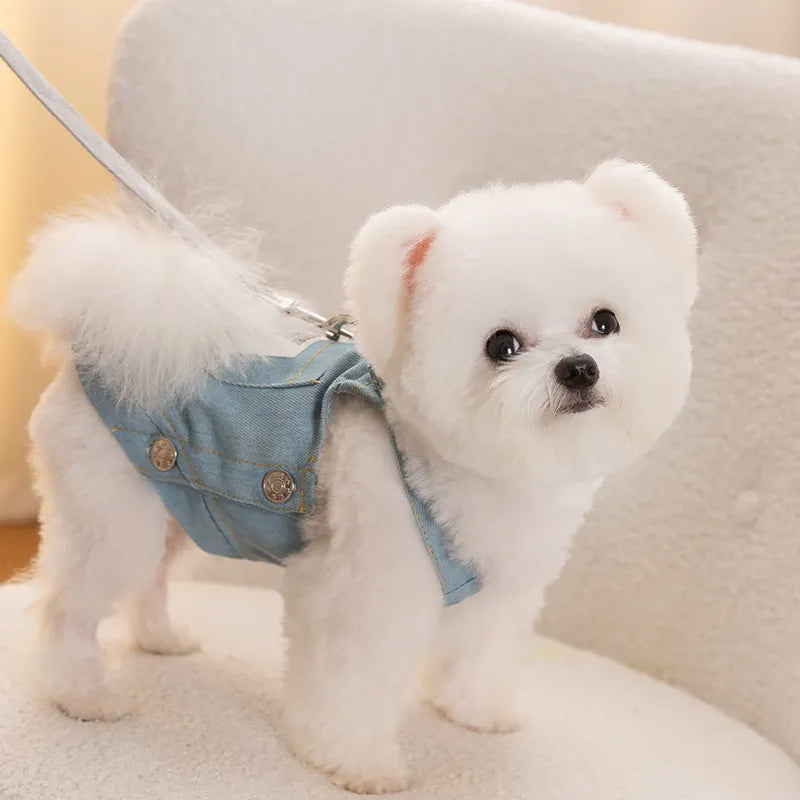 Winter Dog Clothes Jackets Pet Dog Strap Denim Skirt Vest For Small Dog Can Pull Two Feet Pet Dog Clothing Designer Dog Costume